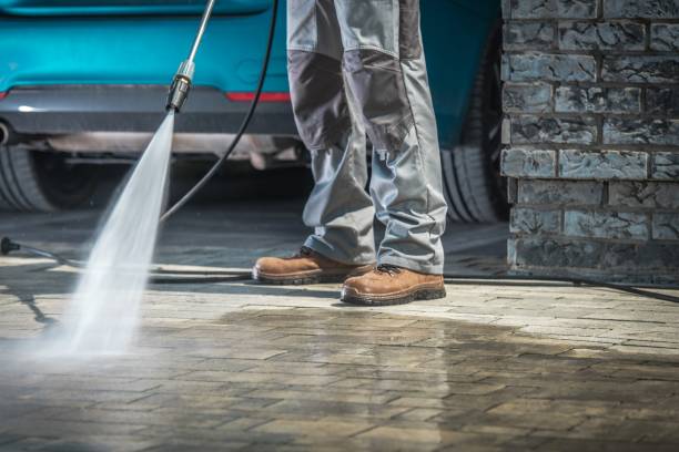 Best House Exterior Washing  in Clute, TX